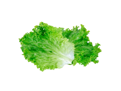 Листья салата